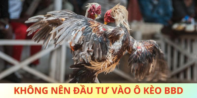 Hội viên không nên đầu tư quá nhiều vào ô kèo BBD