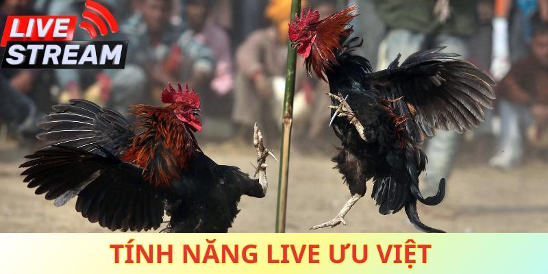 Tính năng live ưu việt mang lại mọi good88c quay chi tiết